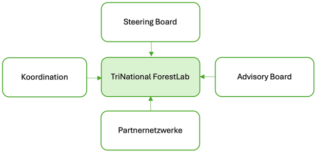 TNFL organization chart
